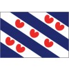 Talamex Friese vlag 20x30